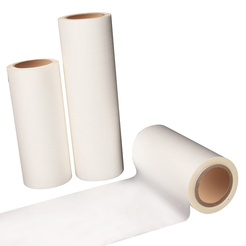 شركة فوجيان هونغ لي لمواد الطباعة ، المحدودة كانت واحدة من المصانع في آنهوي ييهونغ