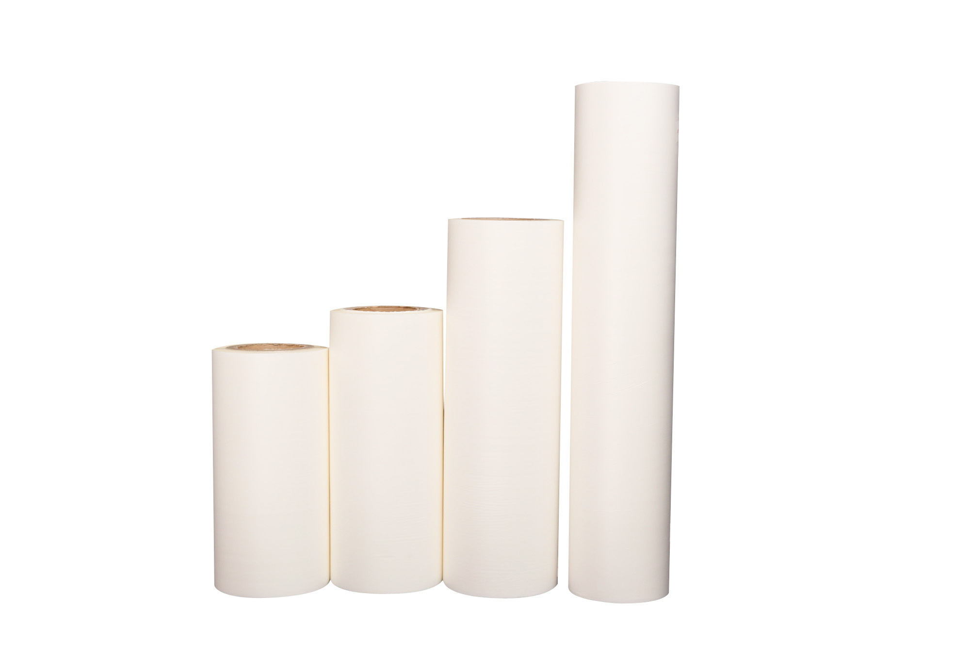 فيلم الحيوانات الأليفة