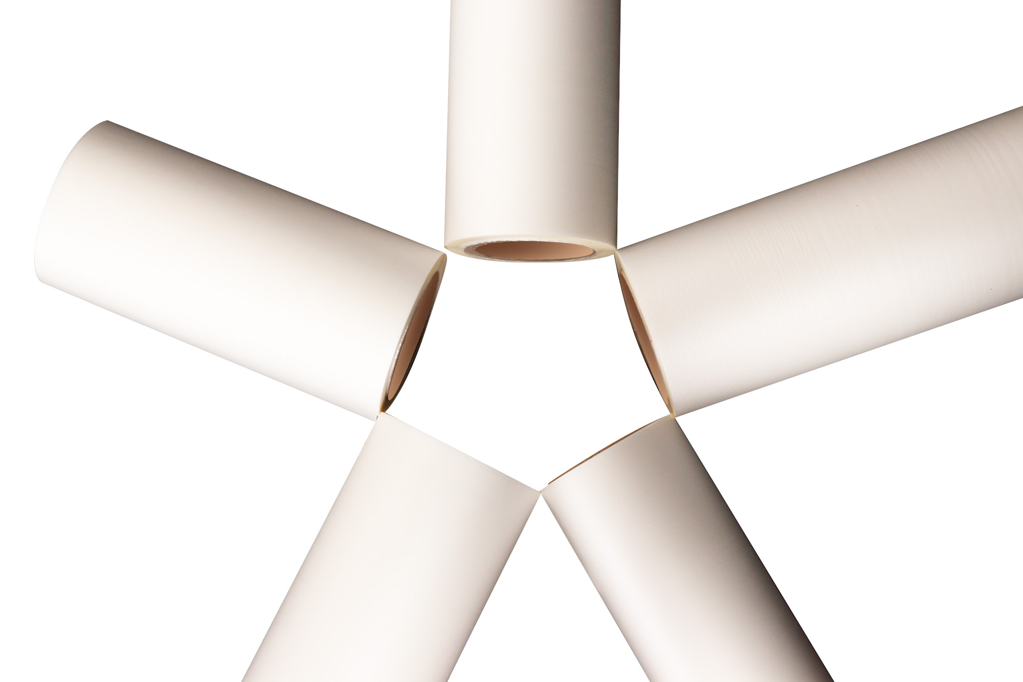 فيلم بارد الحيوانات الأليفة